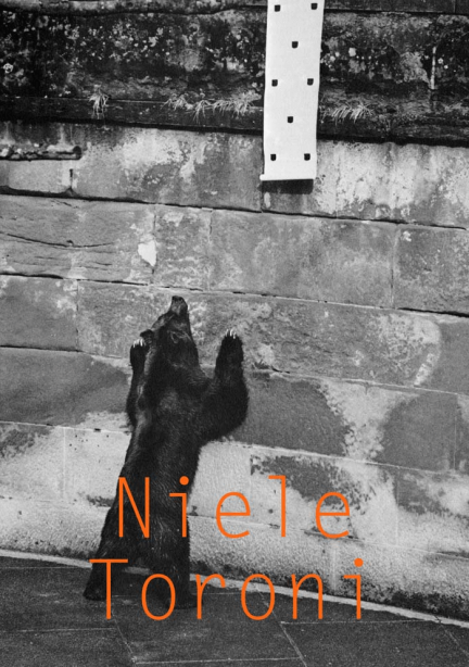 Niele Toroni SI Series Cover