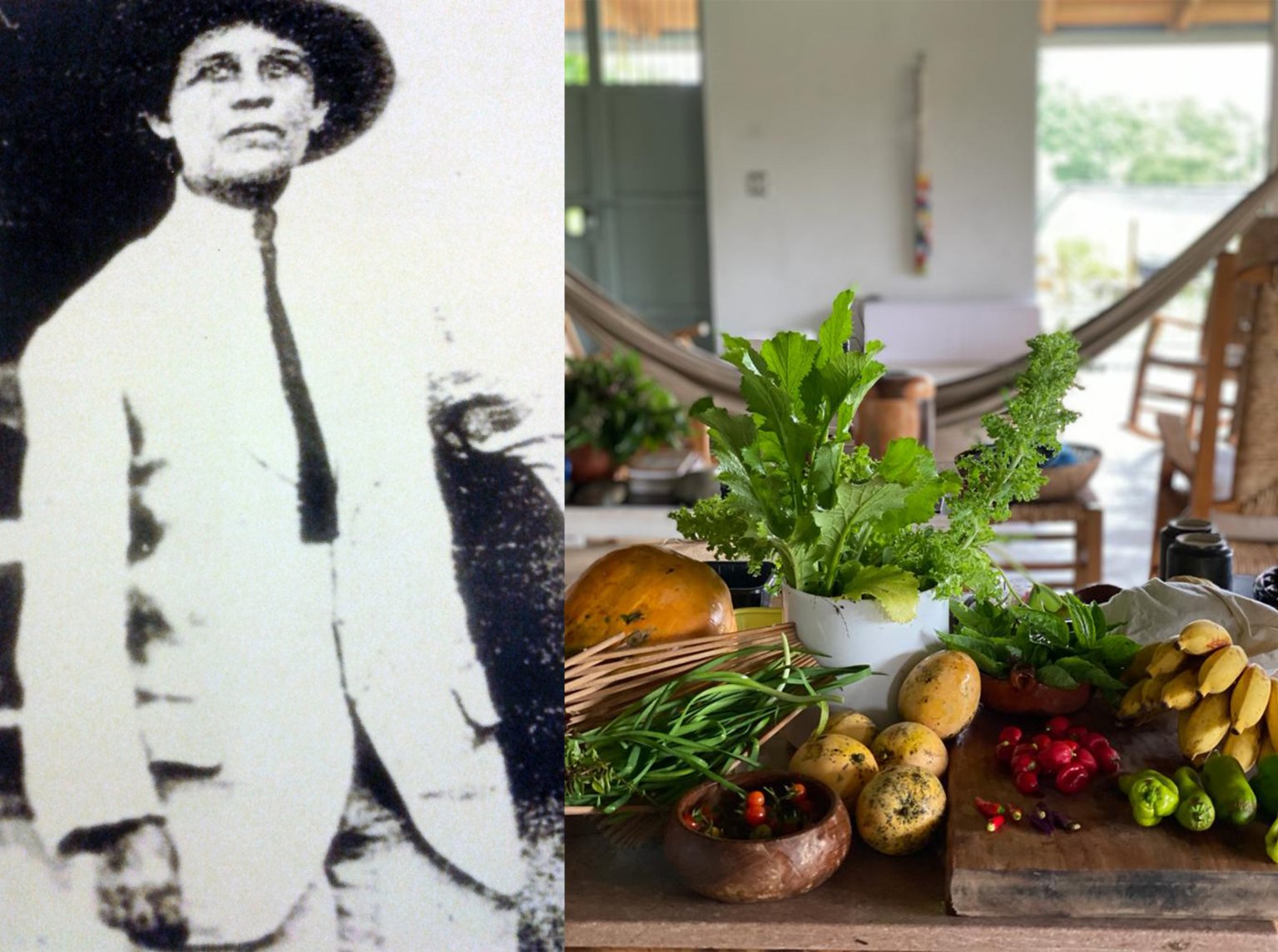 Essay on germinal 03 image